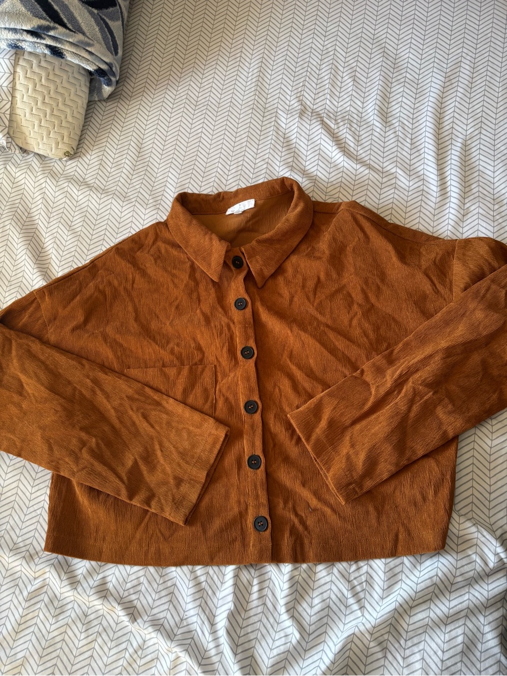 Pumpkin Spice 🎃 Button-Front Collared Women's Top